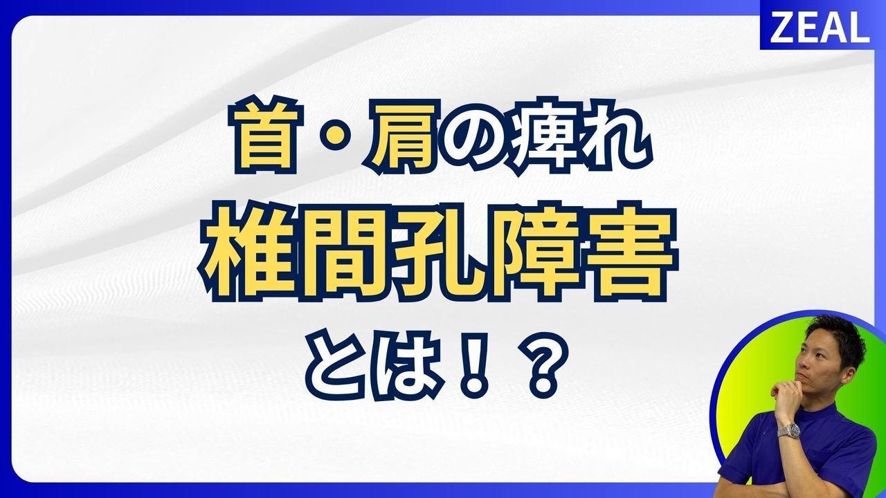 椎間孔障害とは|岡山市南区・中区ジール鍼灸整骨院