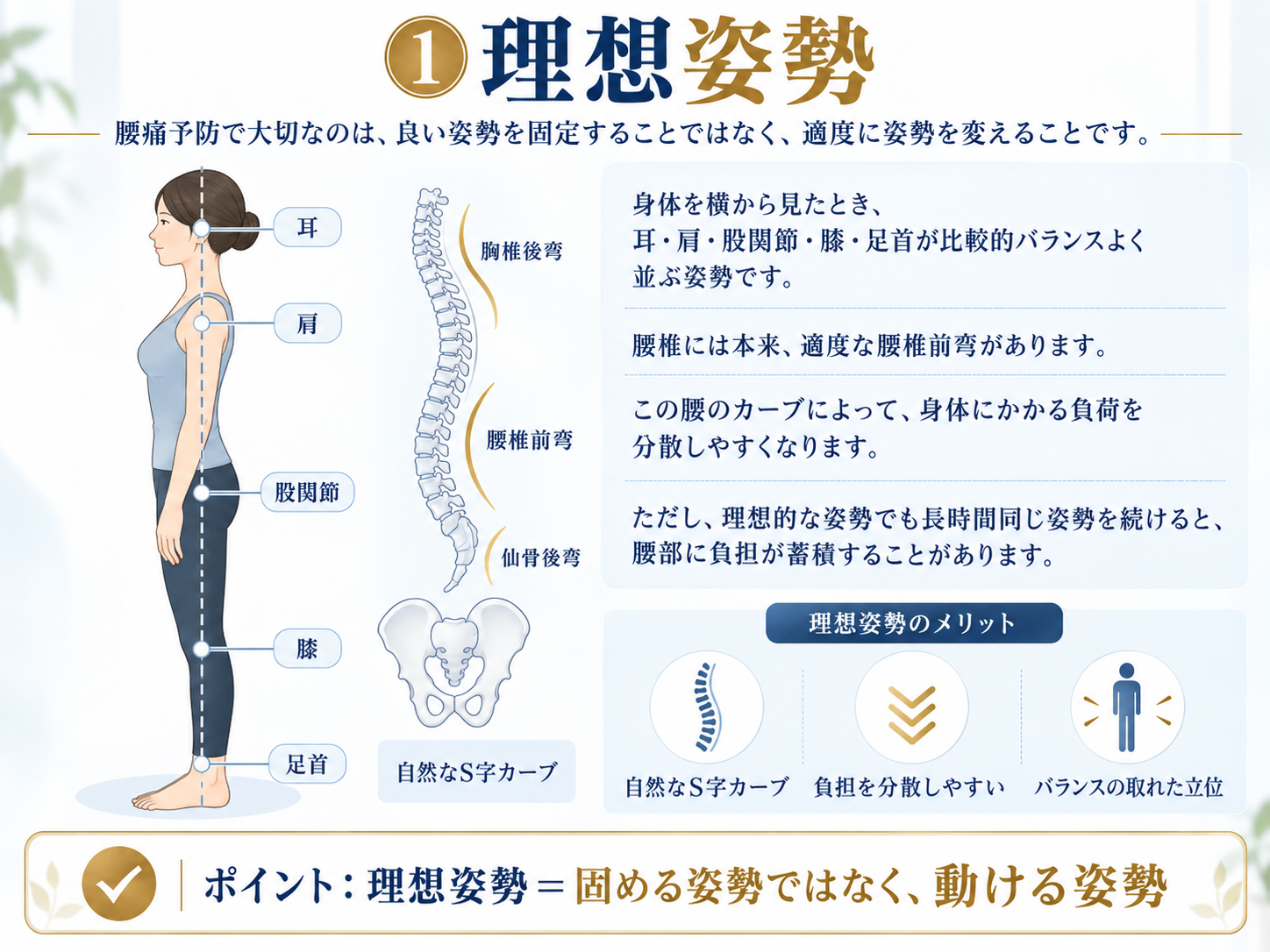 岡山市中区・南区｜理想姿勢