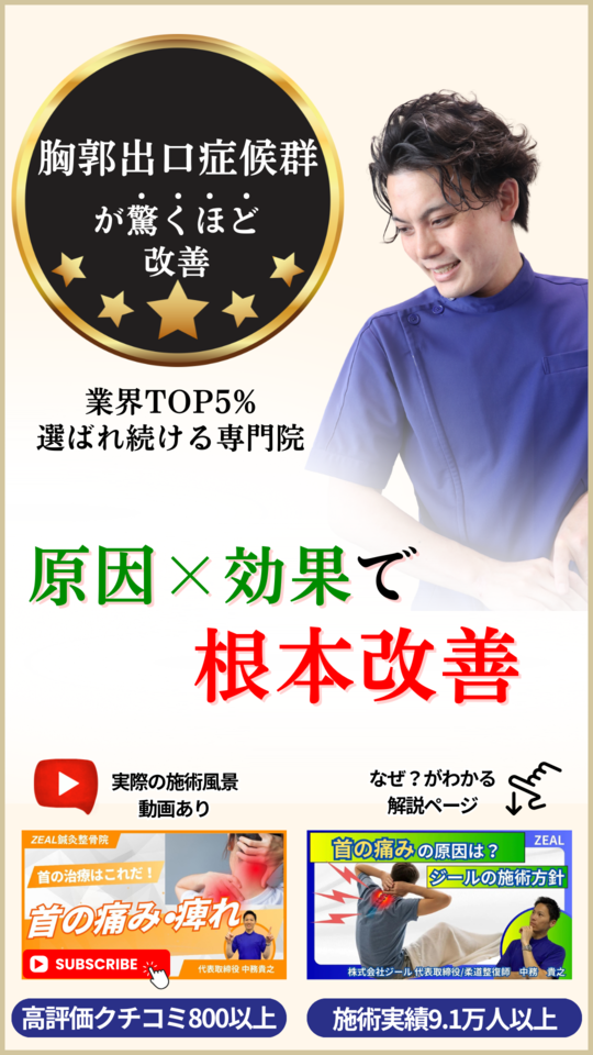 胸郭 脊柱可動型モデル，胸郭，大腿骨付 | 日本スリービー・サイエン
